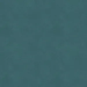 Alina-5