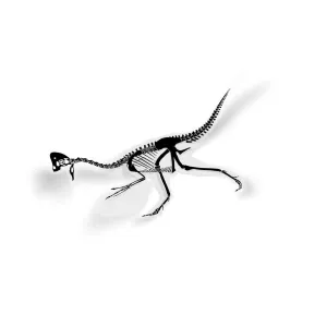 Anzu Fossil Dinosaur Sticker