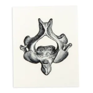 Axis Bone - Sticker