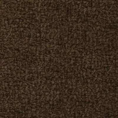 Barton Chenille-Coffee