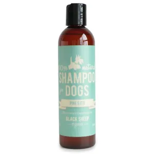 Black Sheep Organics Pine & Fir Organic Shampoo for Dogs (8oz bottle)