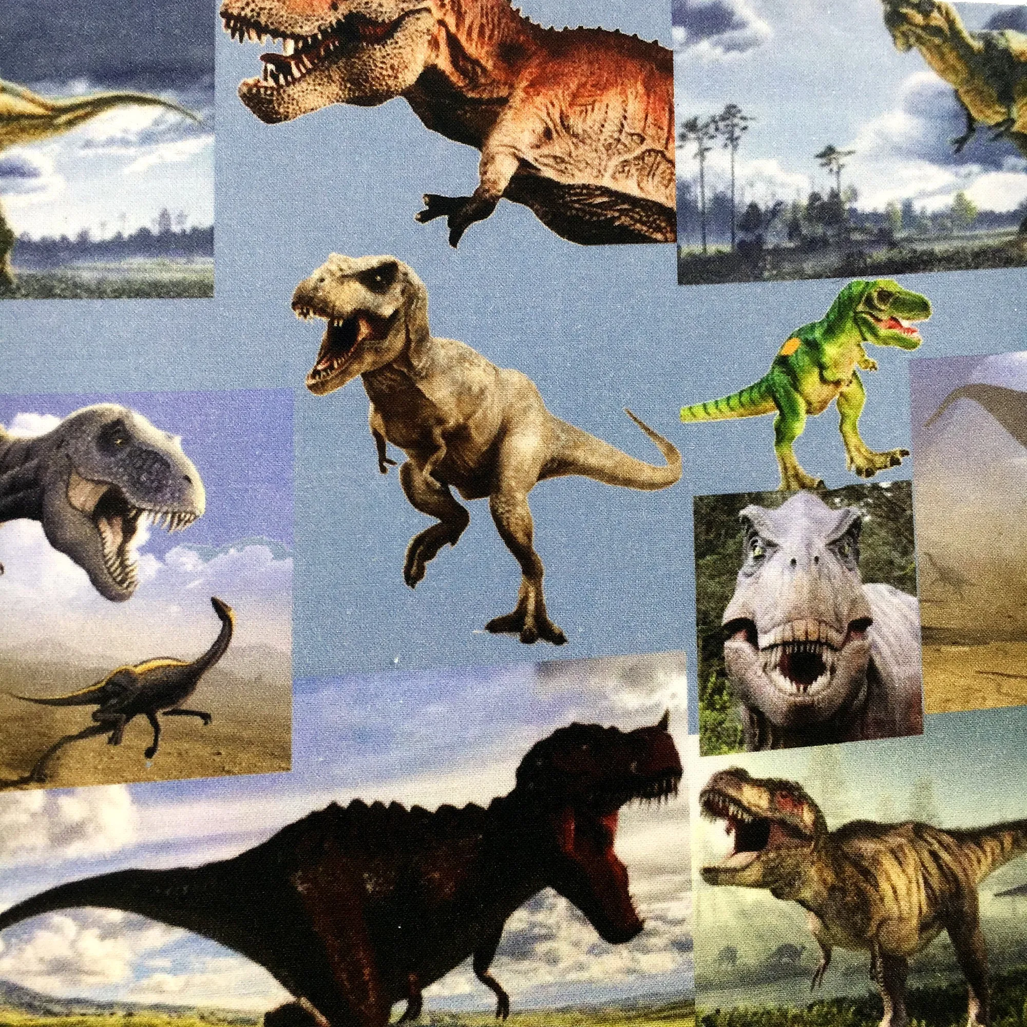 Dinosaur Theme Printed Fabric