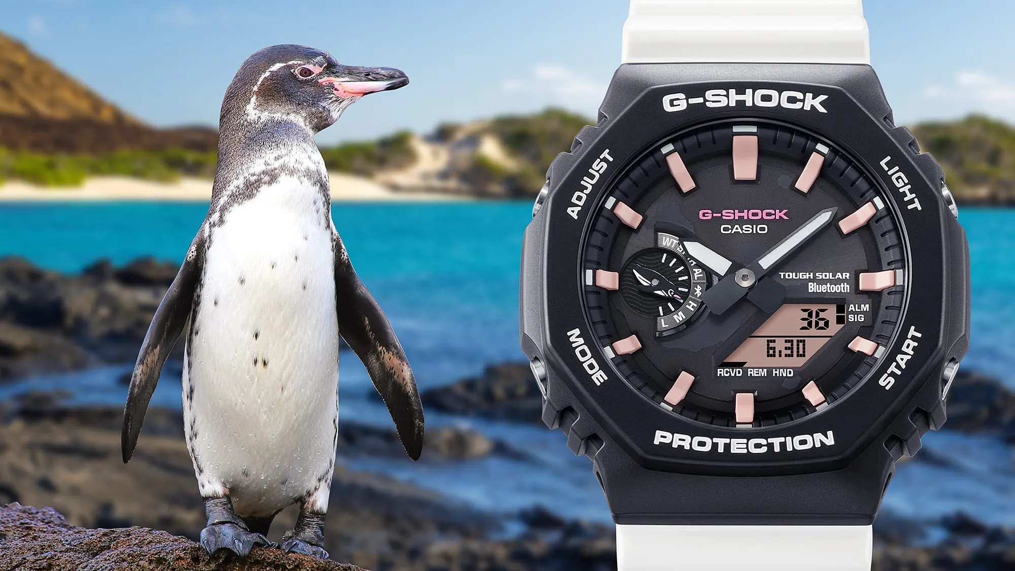 G-Shock Charles Darwin Foundation Galápagos Penguin Black White Tough Solar Watch GAB2100CD1A7