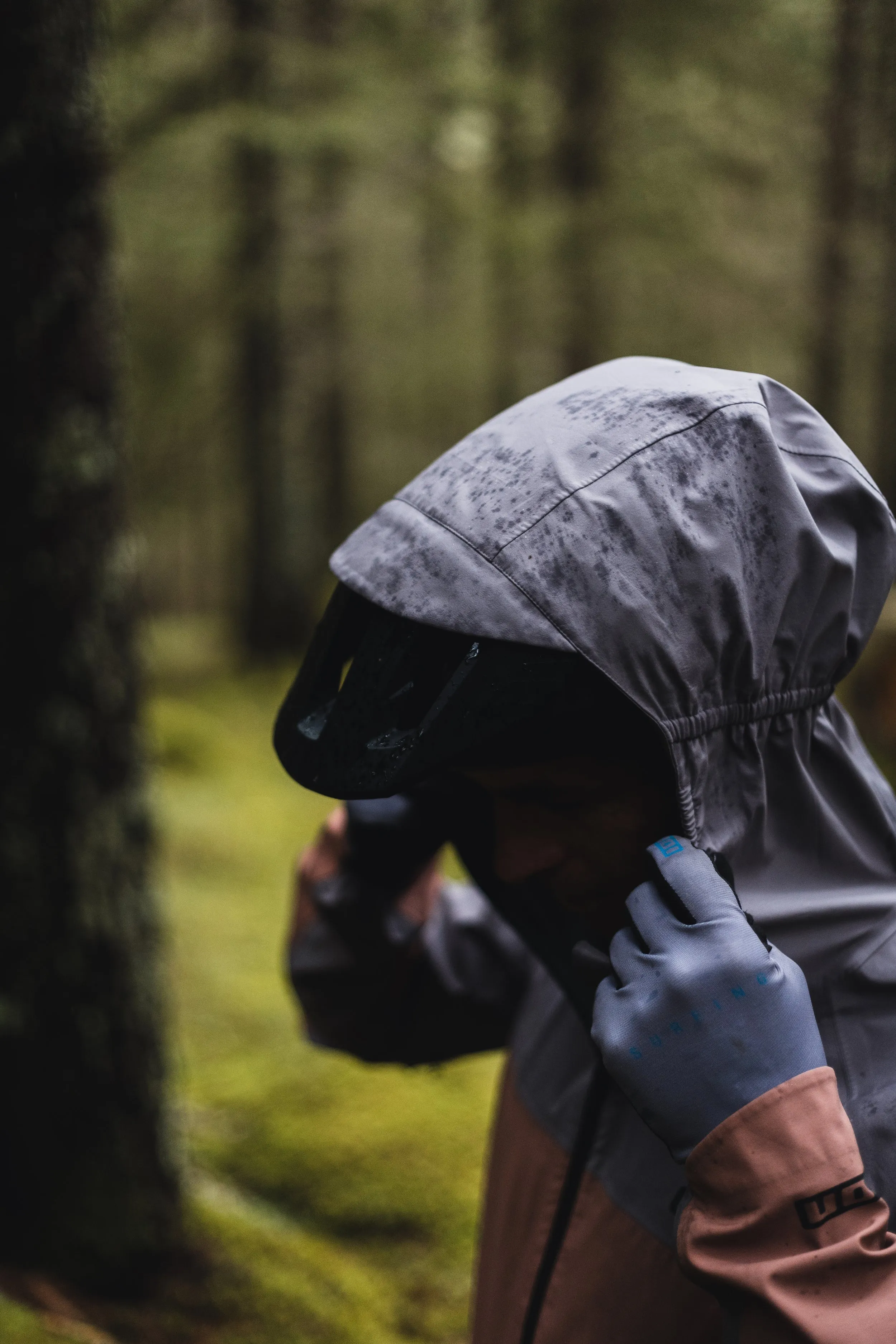 Jacket Shelter 3L men