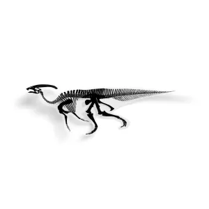 Parasaurolophus Fossil Dinosaur Sticker
