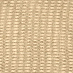 Queen-Chiffon