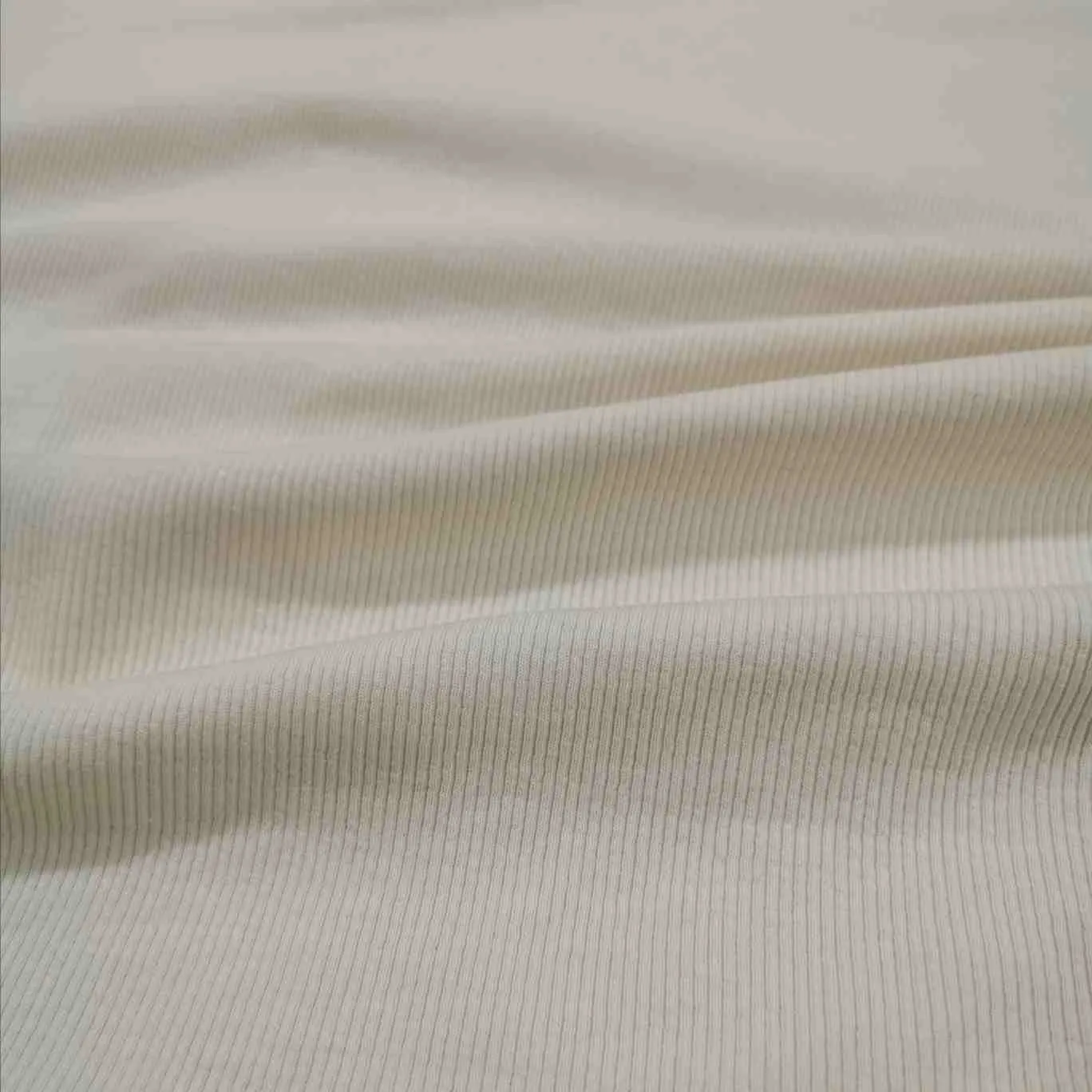 Ribbed Cotton Jersey, Vanilla