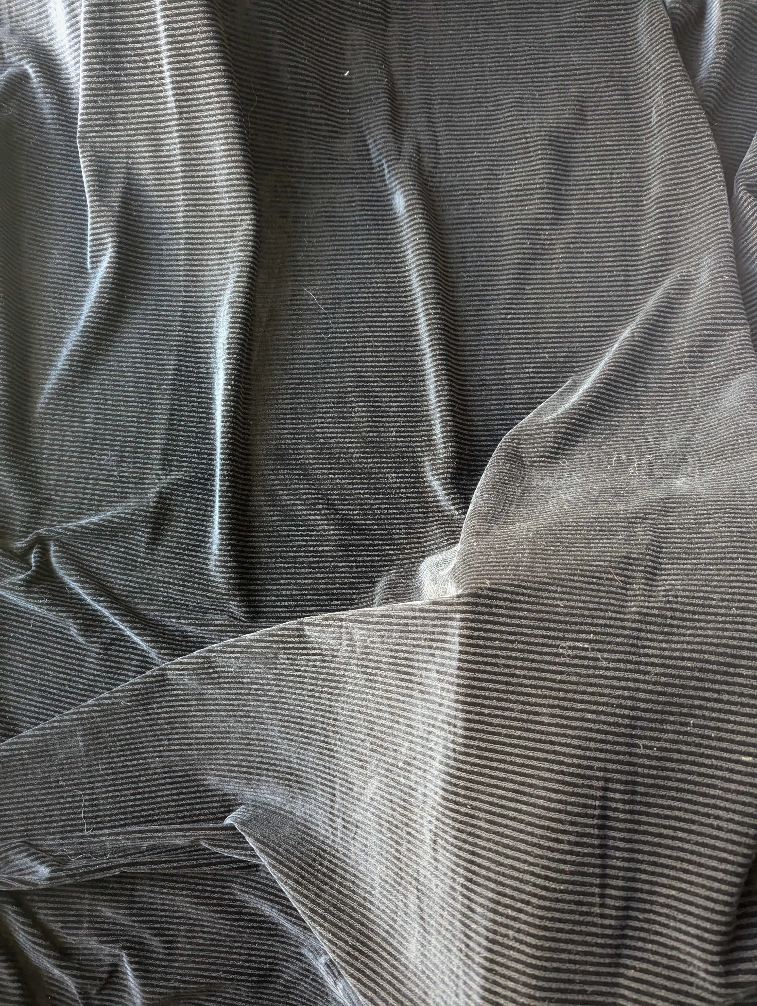 Striped Velvet Stretch Black Fabric