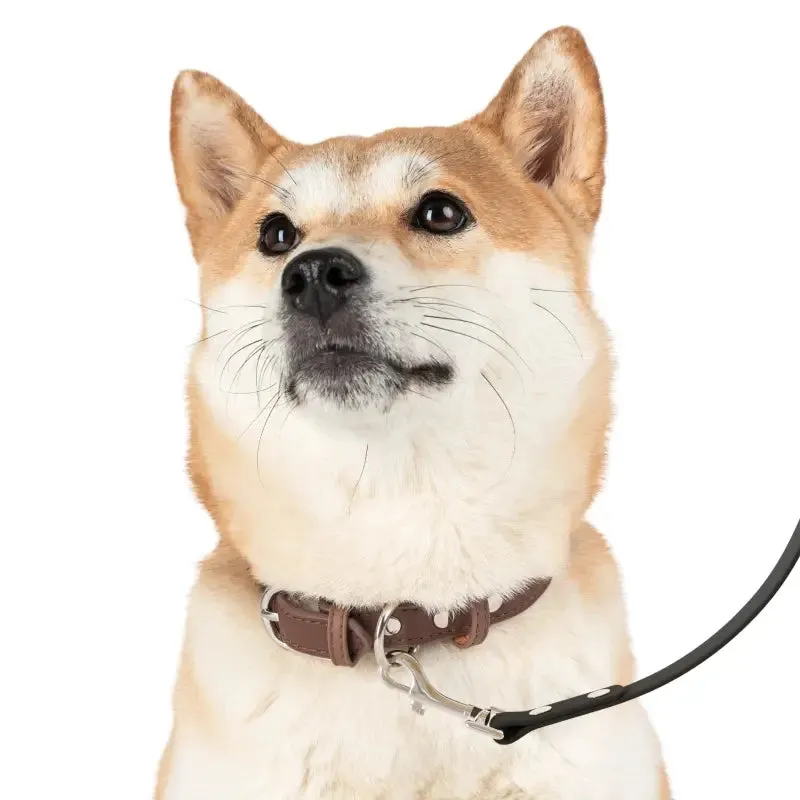 Stylish Durable Pup Leash for Outdoor Fun