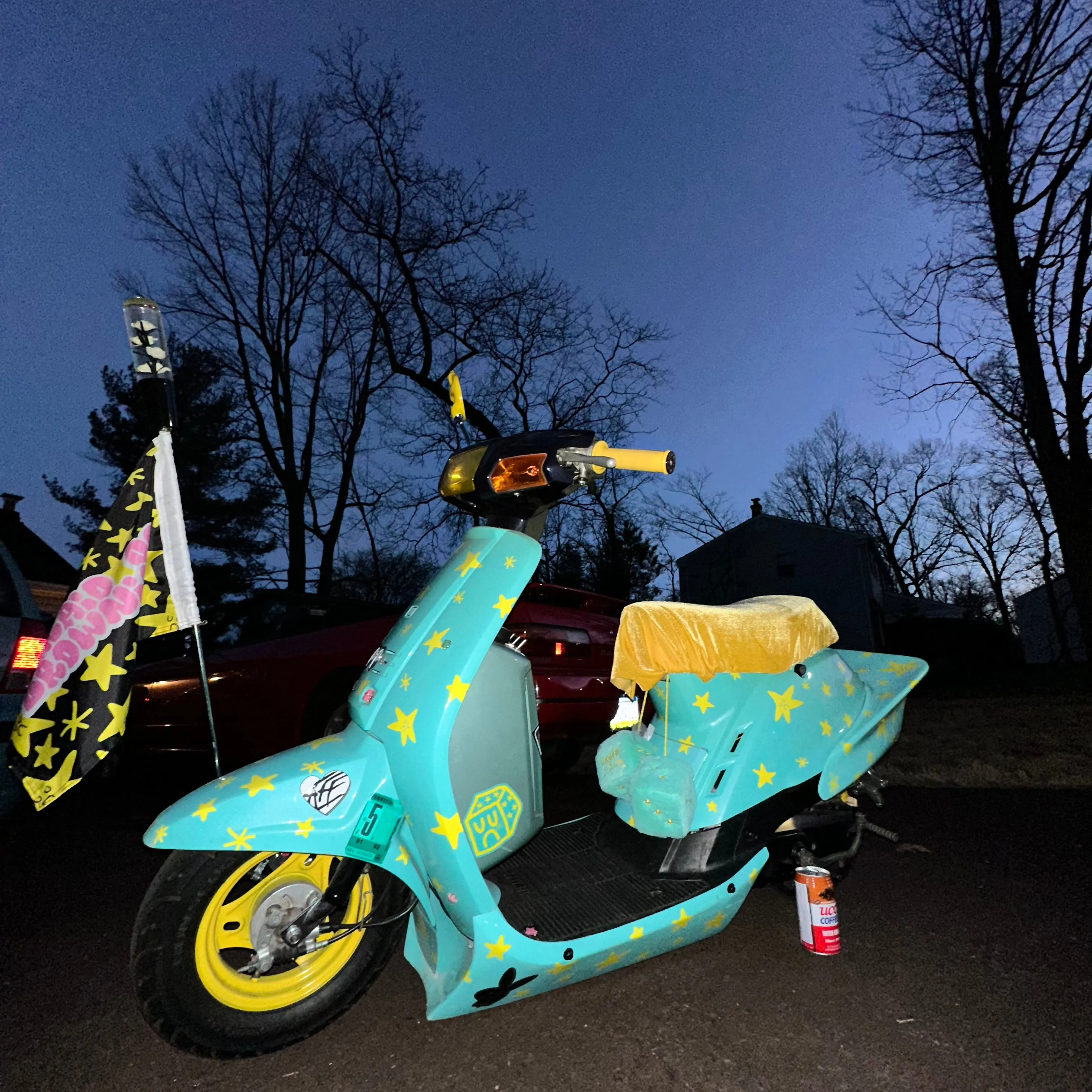 THIS SCOOTER WAS BUILT FOR CRIME STICKER