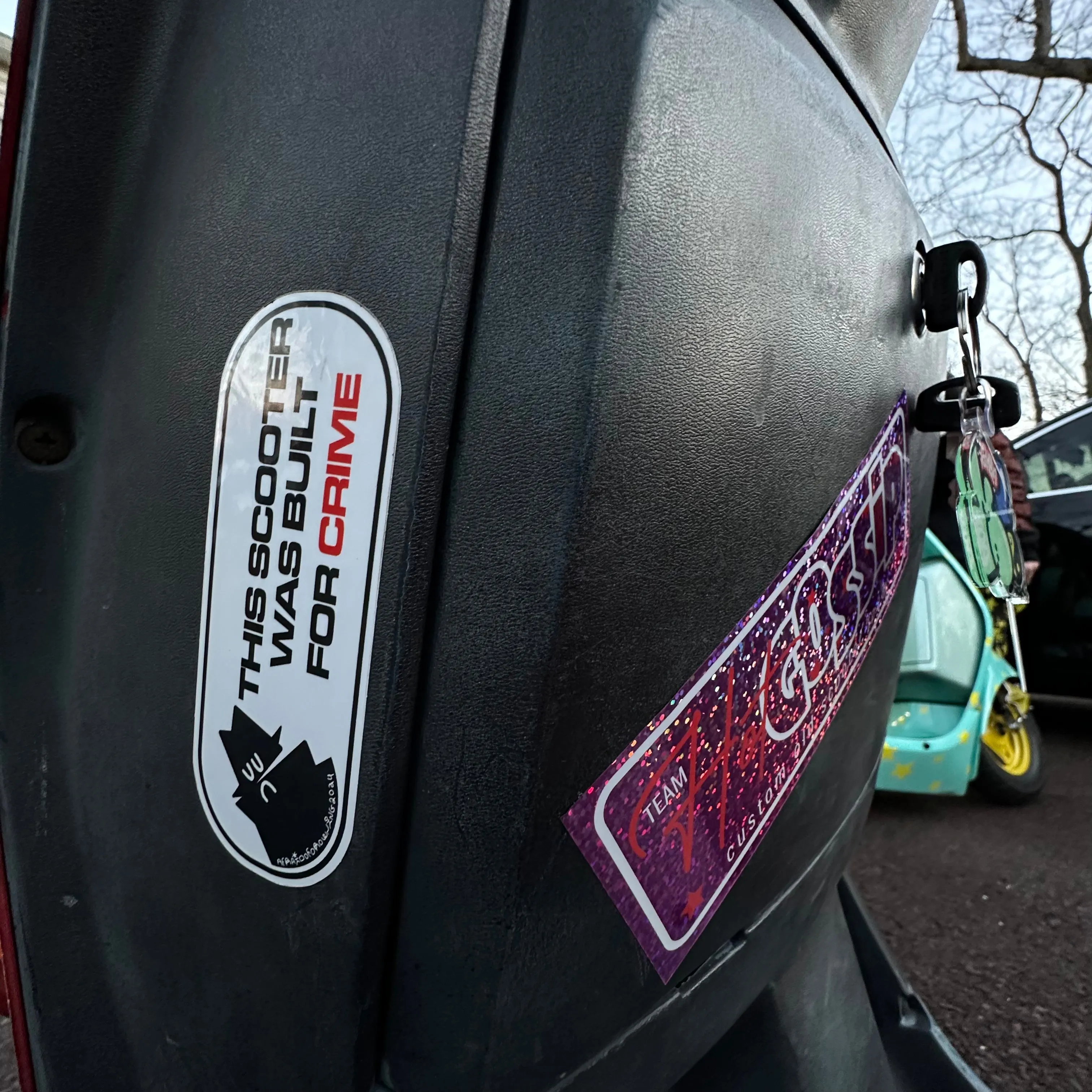 THIS SCOOTER WAS BUILT FOR CRIME STICKER