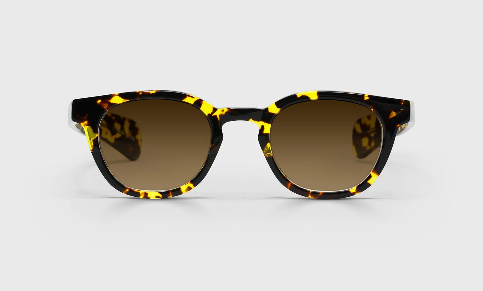 Total Wit Sunglasses