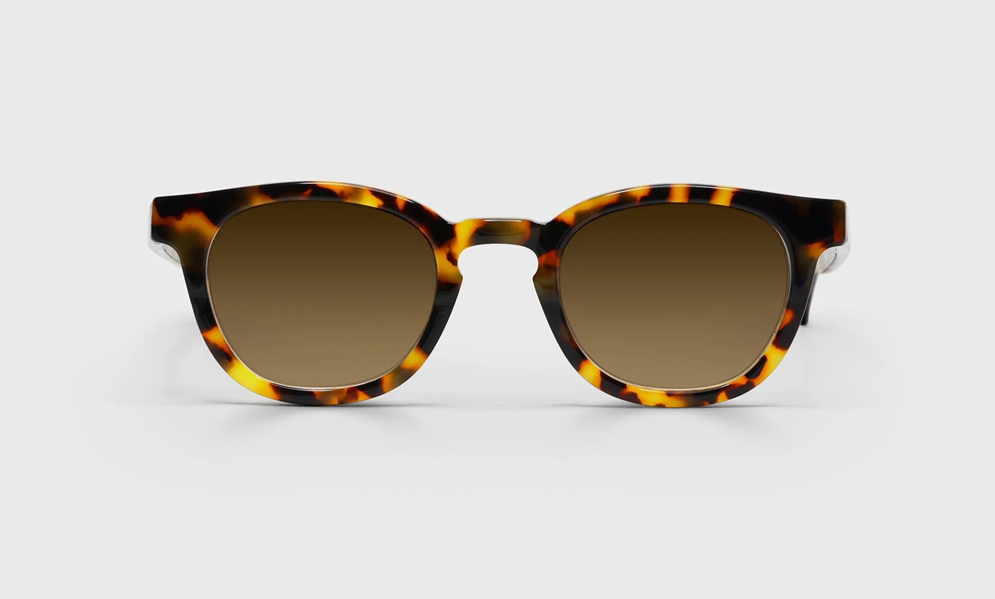 Total Wit Sunglasses